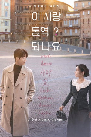 Can This Love Be Translated? izle - DiziBOX afişi