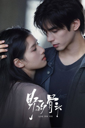 Love For You izle - DiziBOX afişi