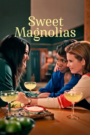 Sweet Magnolias izle - DiziBOX afişi