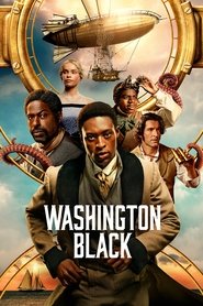 Washington Black izle - DiziBOX afişi