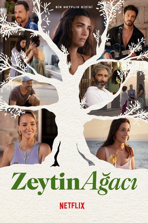 Zeytin Ağacı izle - DiziBOX afişi